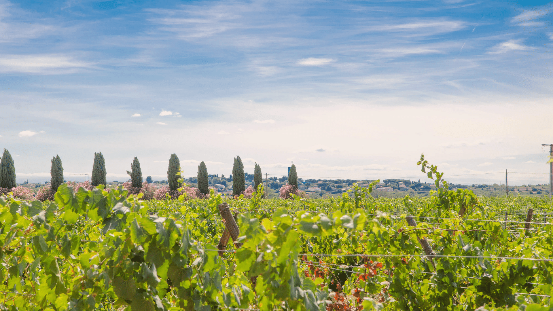 Team building original - Château Hermitage de Combas